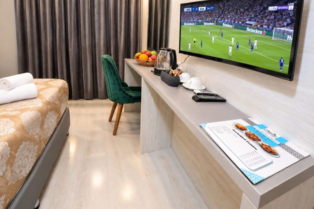 Room desk and television